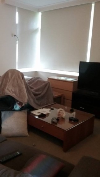 14720430_10153954628567647_2673775829999032432_n